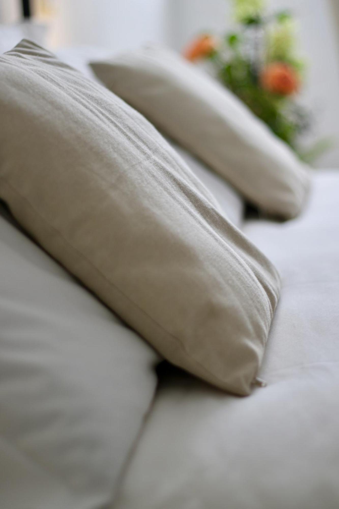 Casa Pellis Bed & Breakfast ฟากาญญา ภายนอก รูปภาพ